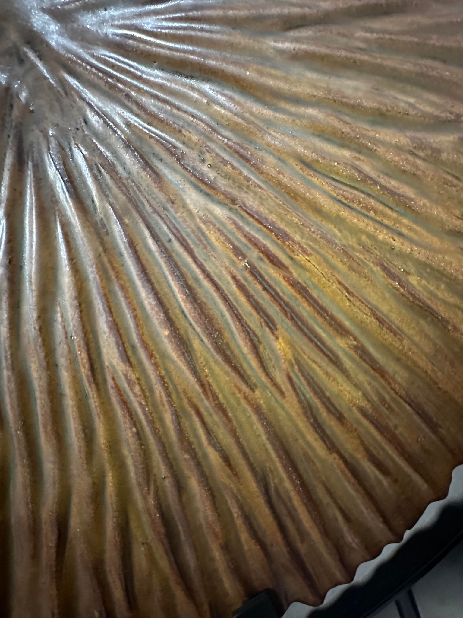 Brown Ceramic Disk